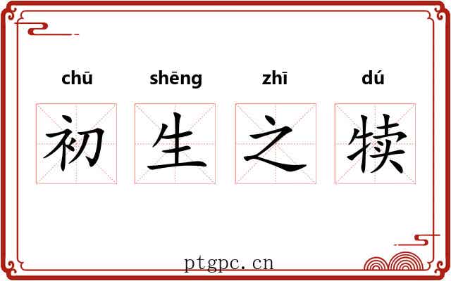 初生之犊