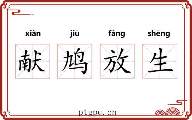 献鸠放生