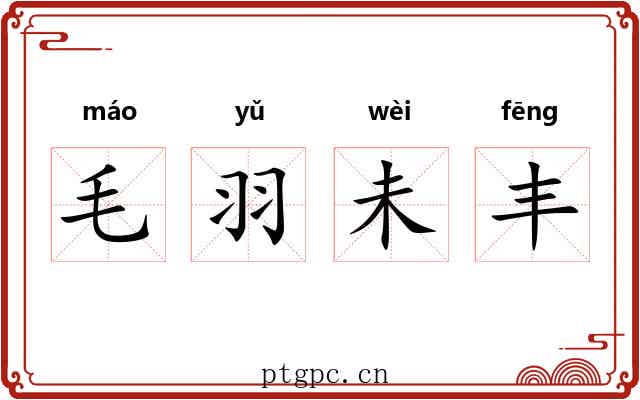 毛羽未丰
