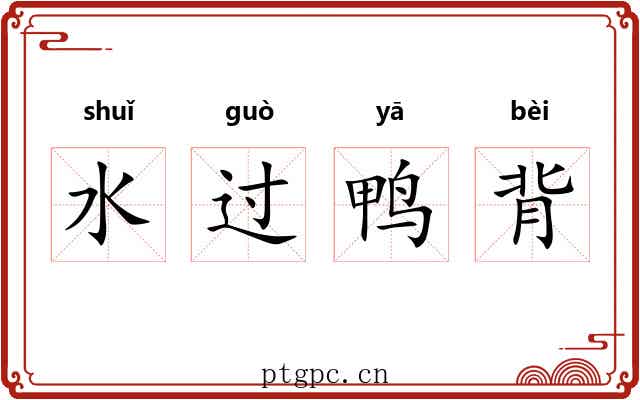 水过鸭背