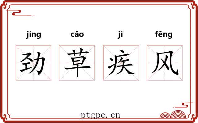劲草疾风
