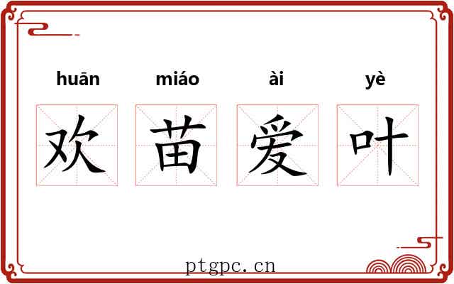 欢苗爱叶