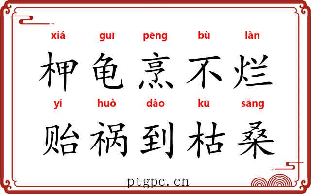 柙龟烹不烂，贻祸到枯桑