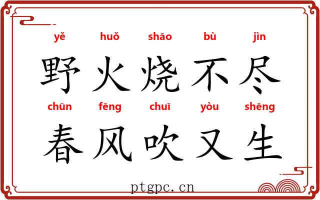 野火烧不尽，春风吹又生