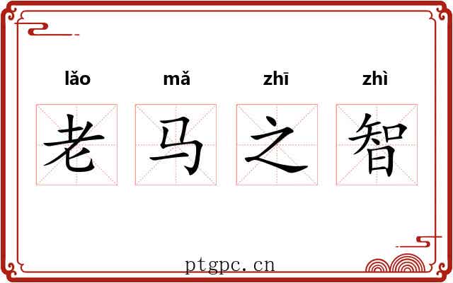 老马之智