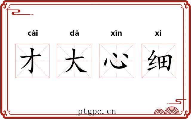 才大心细