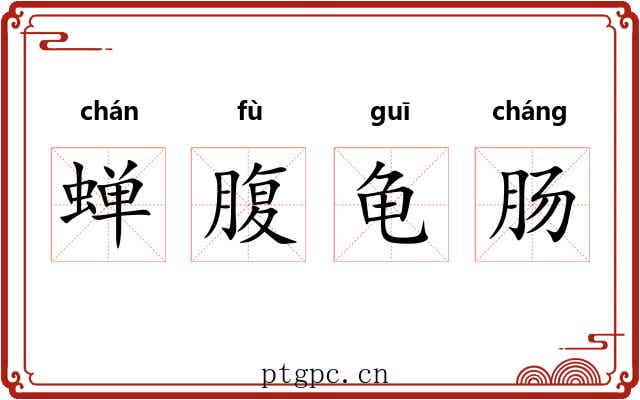 蝉腹龟肠