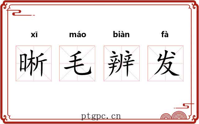 晰毛辨发