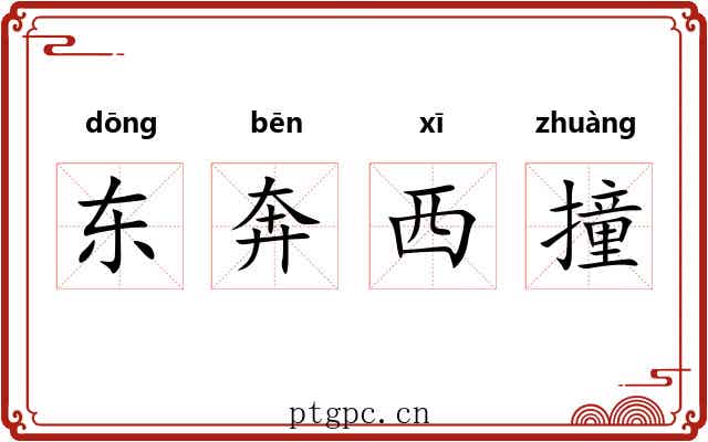 东奔西撞