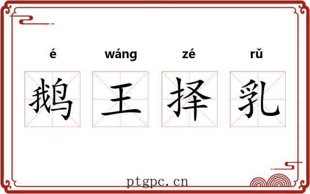 鹅王择乳