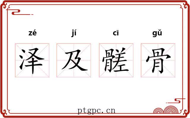 泽及髊骨
