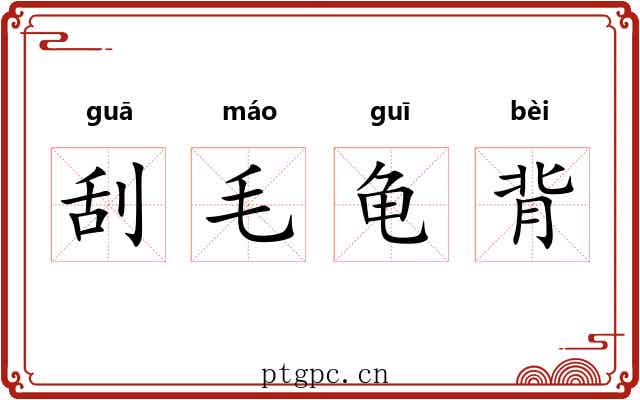 刮毛龟背
