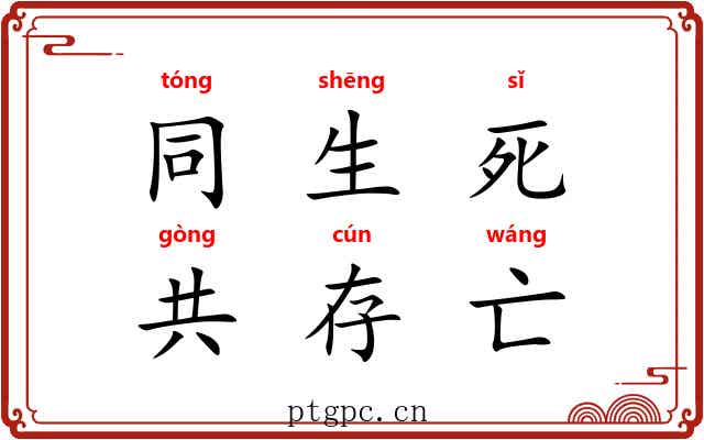同生死，共存亡