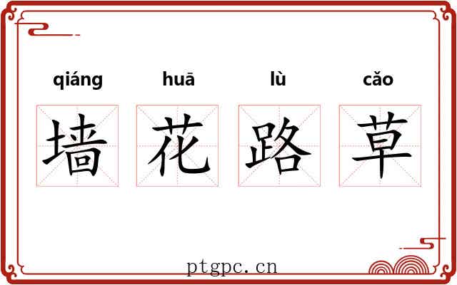 墙花路草