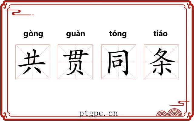 共贯同条