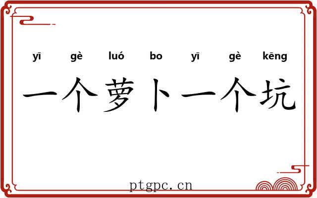 一个萝卜一个坑