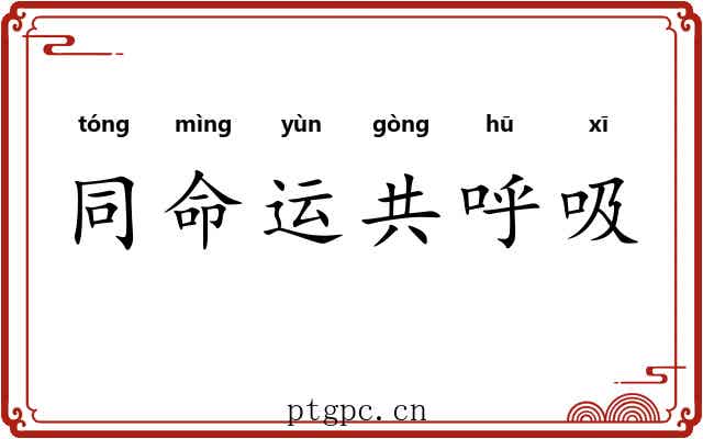 同命运共呼吸