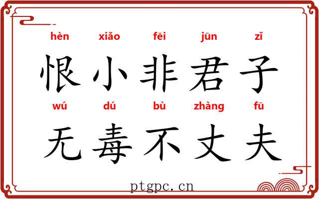 恨小非君子，无毒不丈夫