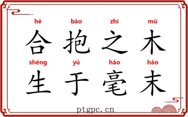 合抱之木，生于毫末