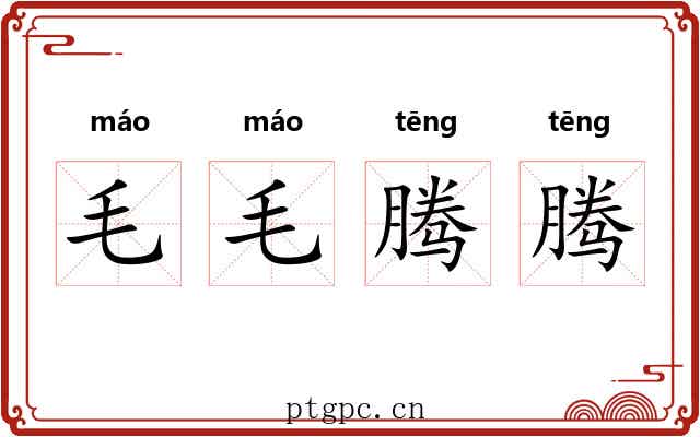 毛毛腾腾