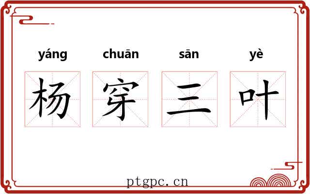 杨穿三叶