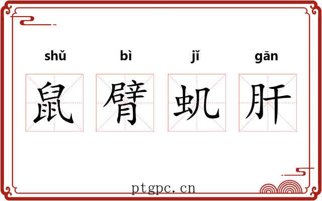 鼠臂虮肝