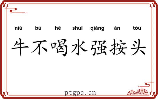 牛不喝水强按头