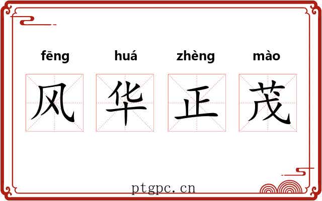 风华正茂