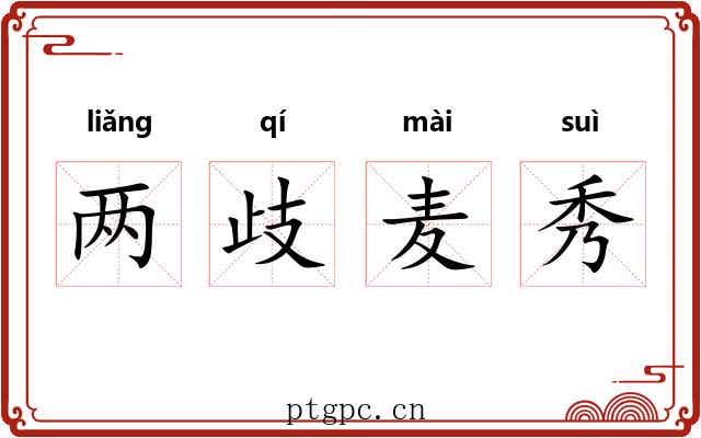 两歧麦秀
