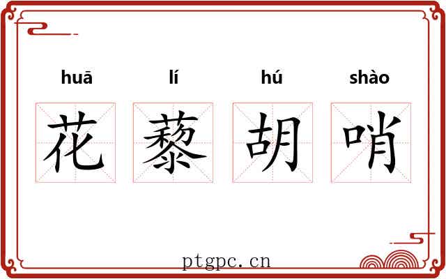 花藜胡哨