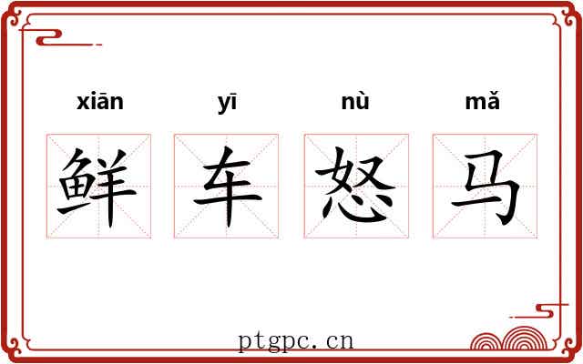 鲜车怒马