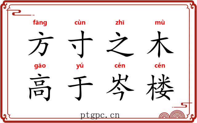 方寸之木，高于岑楼