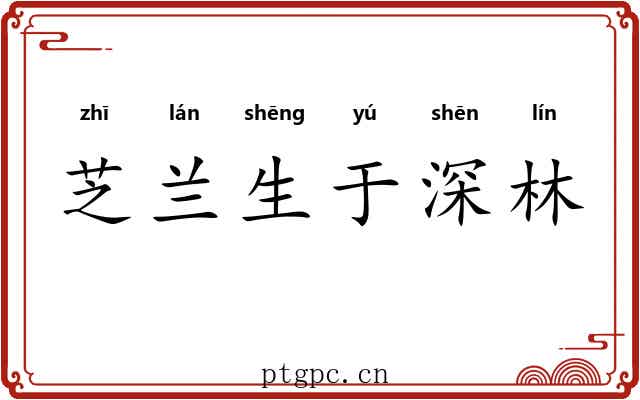 芝兰生于深林