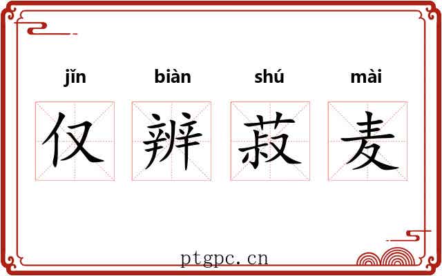 仅辨菽麦