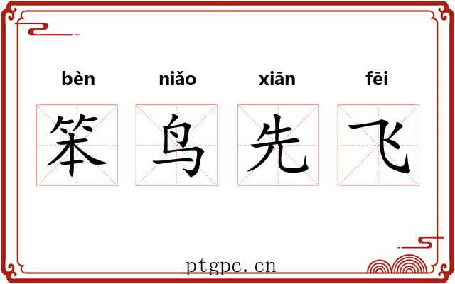 笨鸟先飞