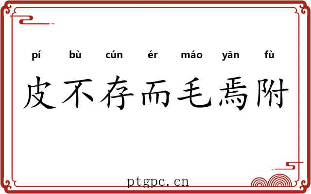 皮不存而毛焉附