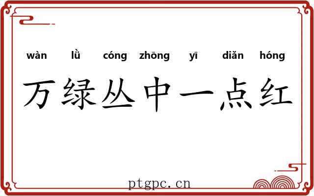 万绿丛中一点红