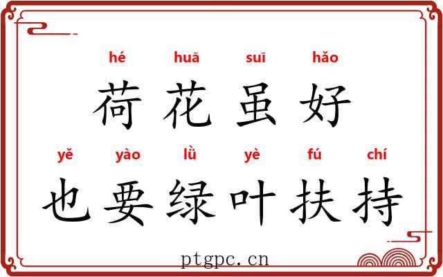 荷花虽好，也要绿叶扶持