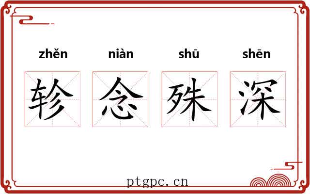 轸念殊深