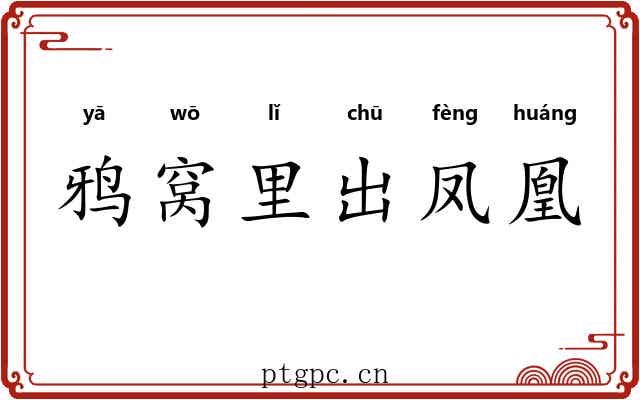 鸦窝里出凤凰