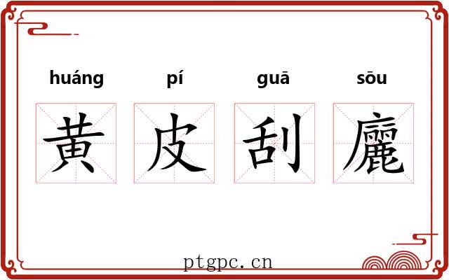 黄皮刮廲