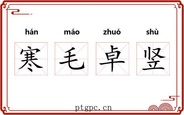 寒毛卓竖