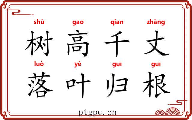 树高千丈，落叶归根