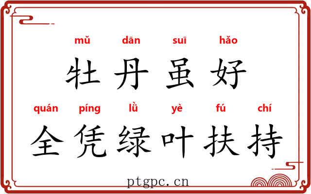 牡丹虽好，全凭绿叶扶持