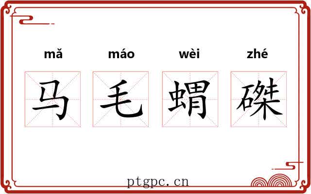 马毛蝟磔