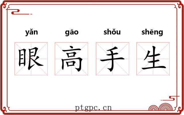 眼高手生