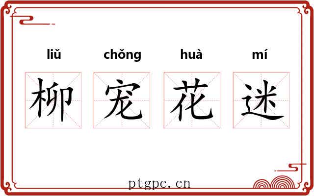 柳宠花迷