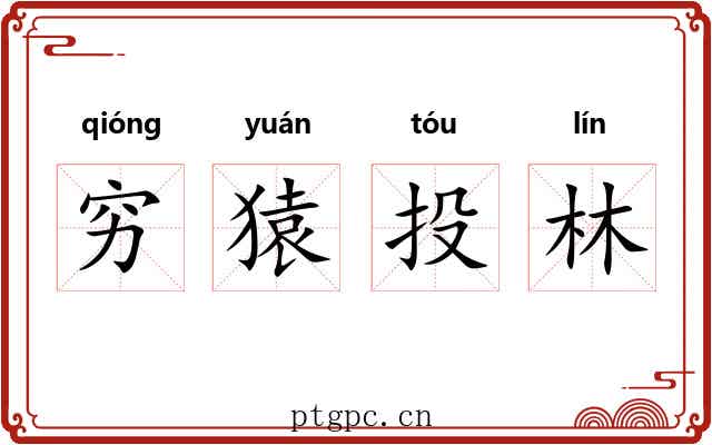 穷猿投林