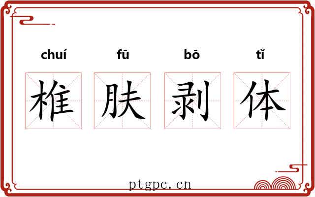 椎肤剥体