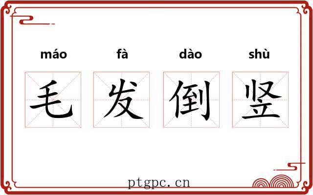 毛发倒竖